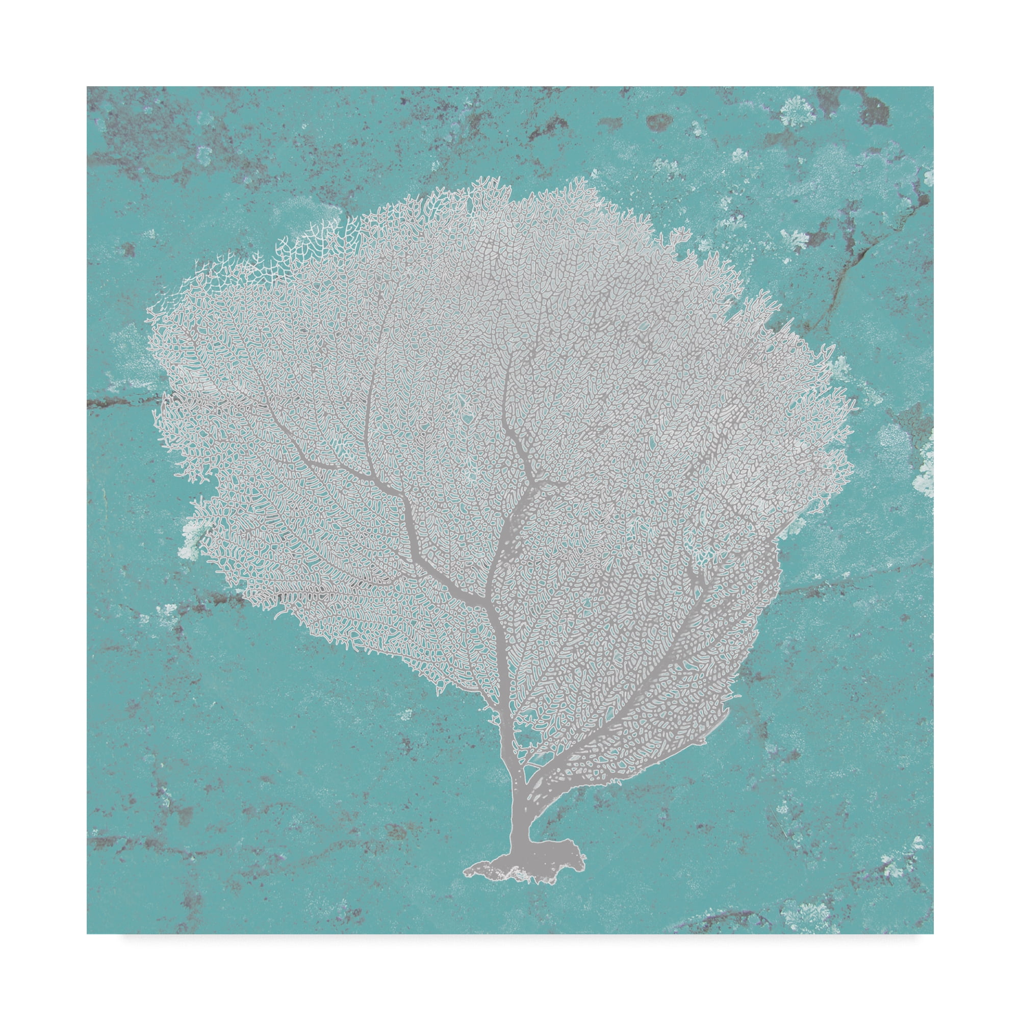 Trademark Fine Art 'Graphic Sea Fan IX' Canvas Art by Studio W