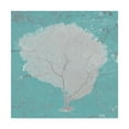 thumbnail image 1 of Trademark Fine Art 'Graphic Sea Fan IX' Canvas Art by Studio W, 1 of 4