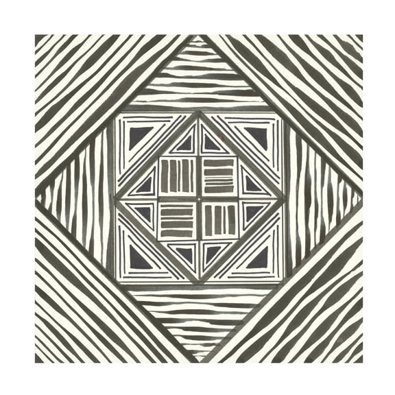 Trademark Fine Art 'Graphics II' Canvas Art by Chris Paschke