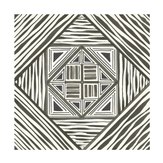 Trademark Fine Art 'Graphics II' Canvas Art by Chris Paschke