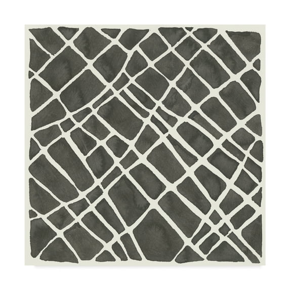 Trademark Fine Art 'Graphics VI' Canvas Art by Chris Paschke