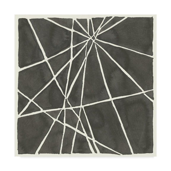 Trademark Fine Art 'Graphics VIII' Canvas Art by Chris Paschke