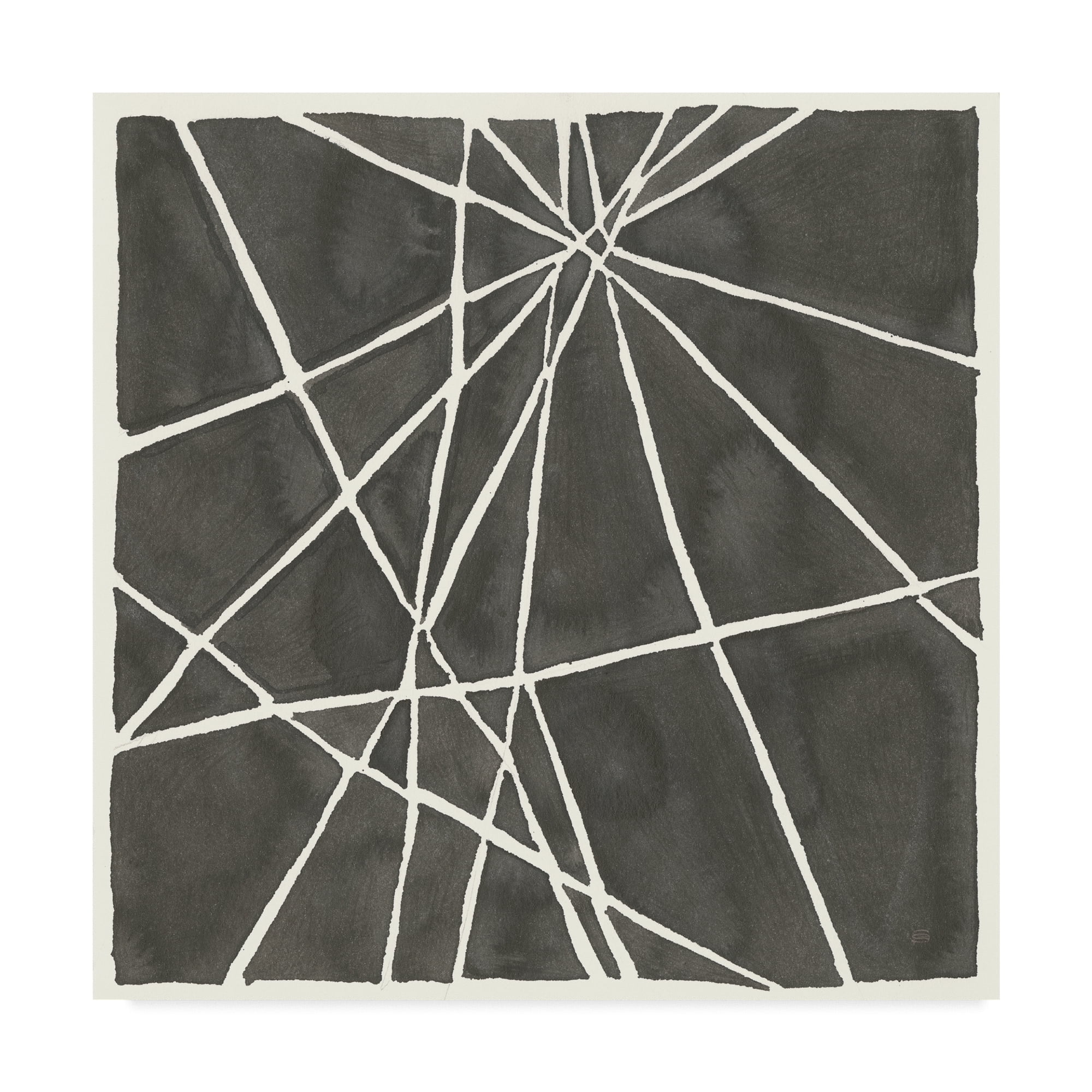 Trademark Fine Art 'Graphics VIII' Canvas Art by Chris Paschke