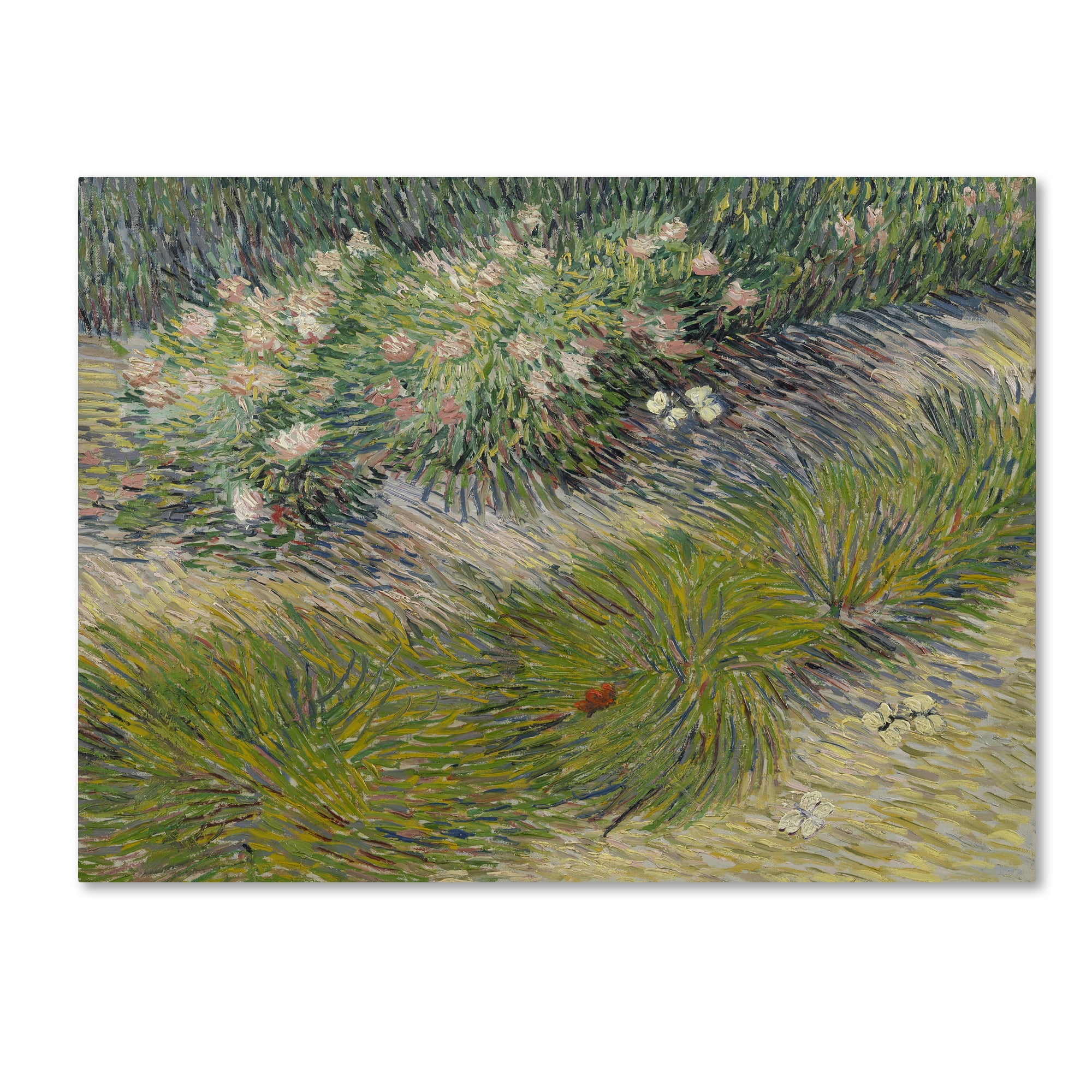 Trademark Fine Art 'Grass And Butterflies' Canvas Art by Van Gogh