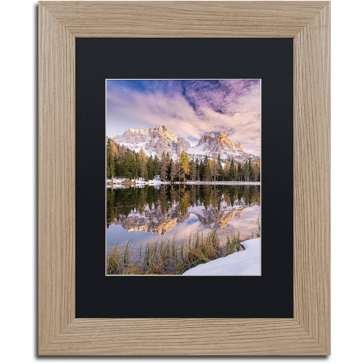 Trademark Fine Art "Grass On Shore" Canvas Art by Michael Blanchette Photography Black Matte, Birch Frame