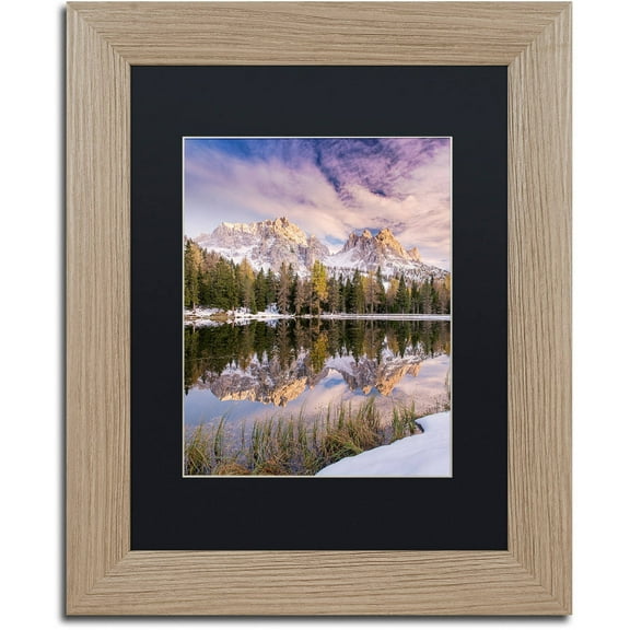 Trademark Fine Art "Grass On Shore" Canvas Art by Michael Blanchette Photography Black Matte, Birch Frame
