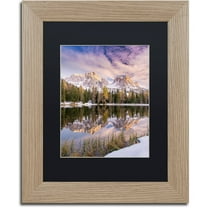 Trademark Fine Art "Grass On Shore" Canvas Art by Michael Blanchette Photography Black Matte, Birch Frame