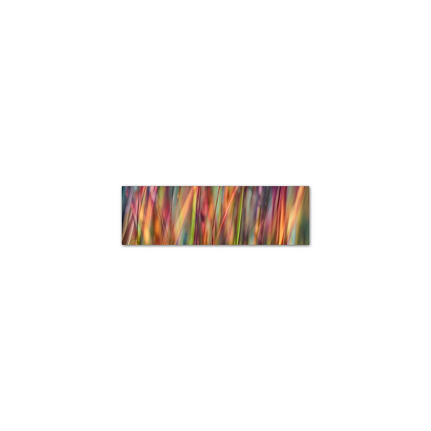Vibrant Multicolor Abstract Grass Canvas Print, 15x20