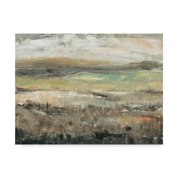 Trademark Fine Art 'Grassland Showers I' Canvas Art by Tim OToole