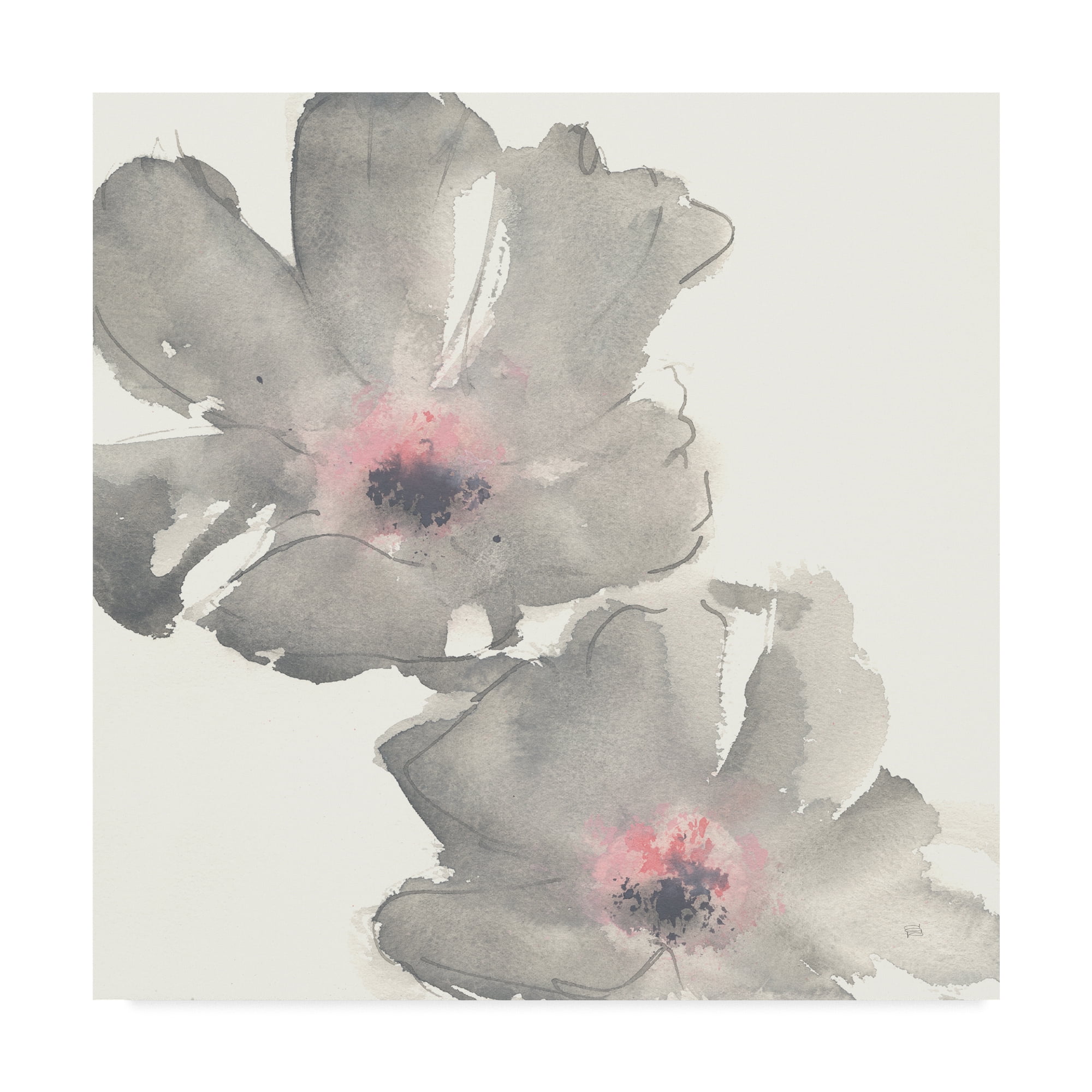 Trademark Fine Art 'Gray Blush Cosmos I on White' Canvas Art by Chris Paschke
