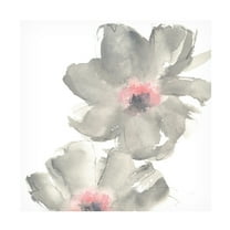 Trademark Fine Art 'Gray Blush Cosmos II on White' Canvas Art by Chris Paschke
