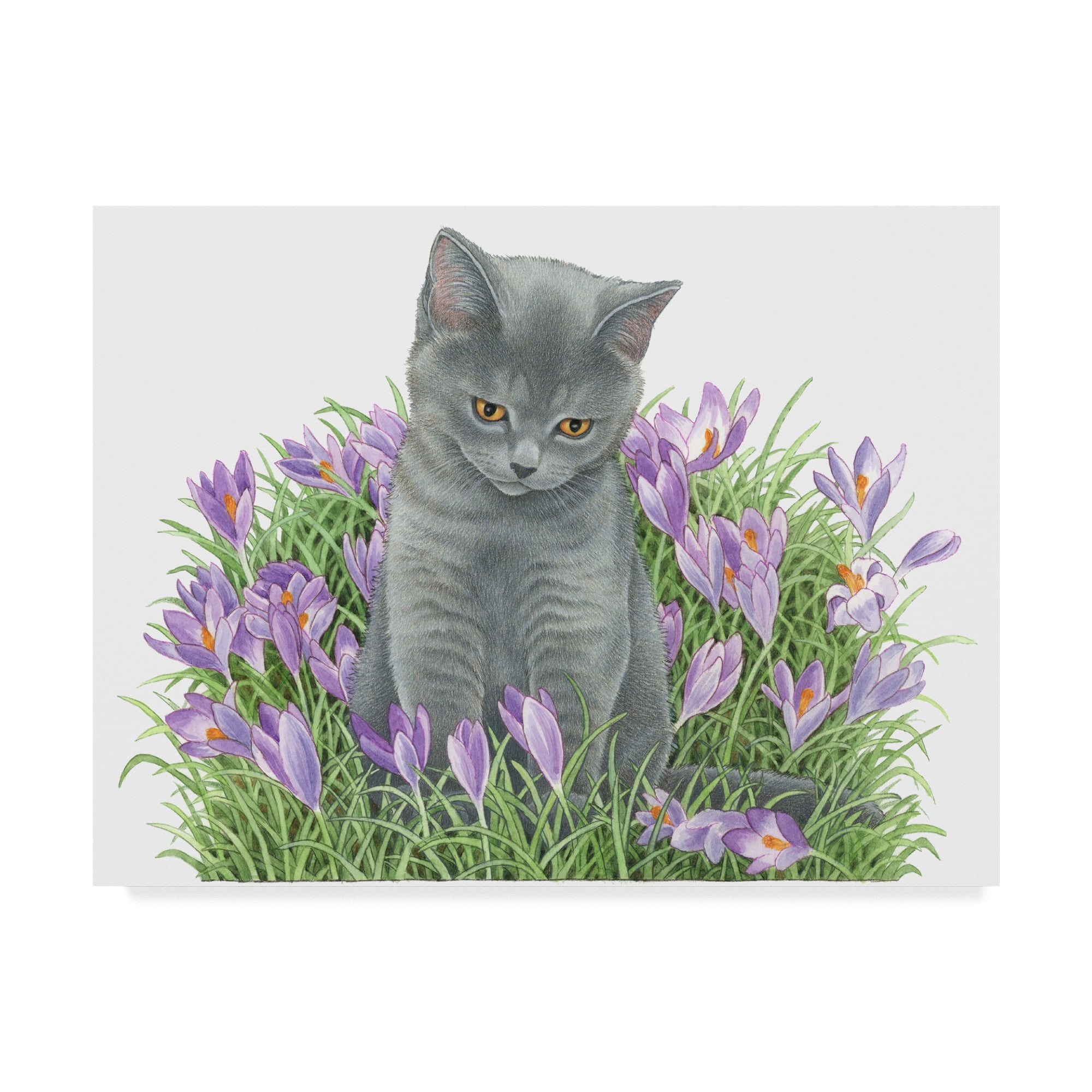 Trademark Fine Art 'Gray Cat In Flowers' Canvas Art by Francien Van Westering