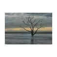 thumbnail image 1 of Trademark Fine Art 'Gray Skies' Canvas Art by Danny Head, 1 of 4
