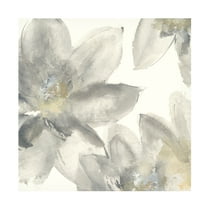 Trademark Fine Art Chris Paschke Gray and Silver Flowers I Canvas Wall Art - 14x14