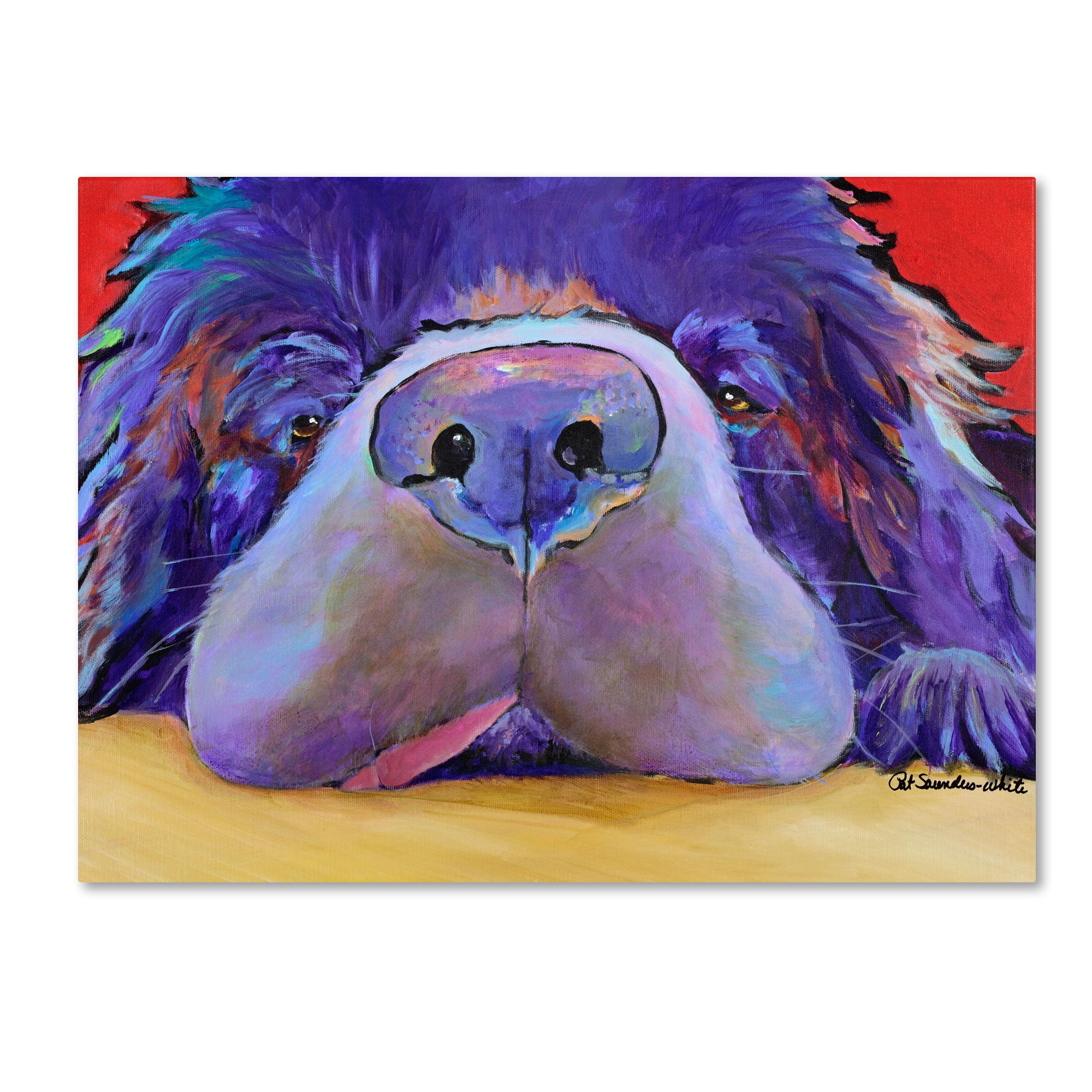 Trademark Fine Art "Graysea" Canvas Art by Pat Saunders