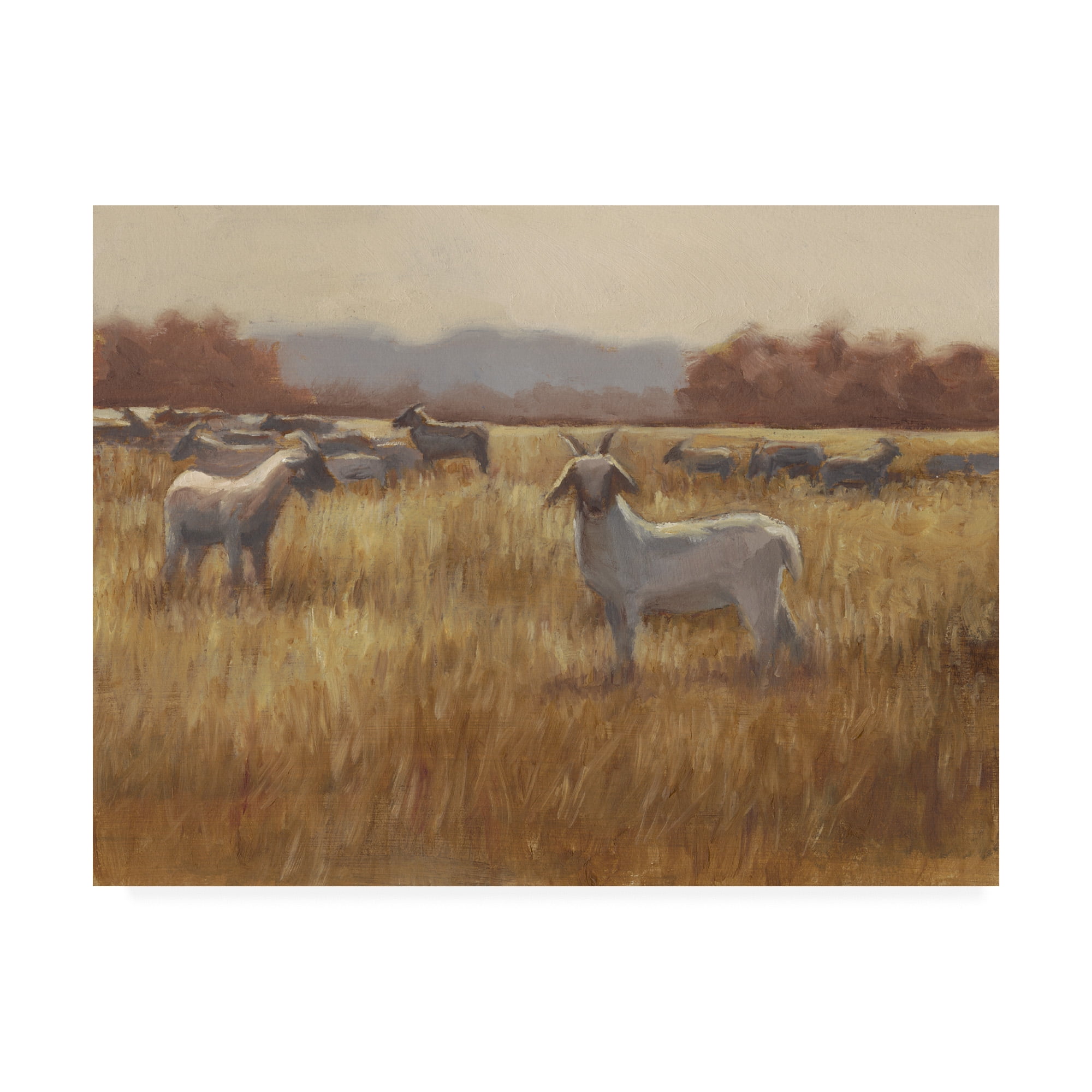 Trademark Fine Art 'Grazing Goats I' Canvas Art by Ethan Harper