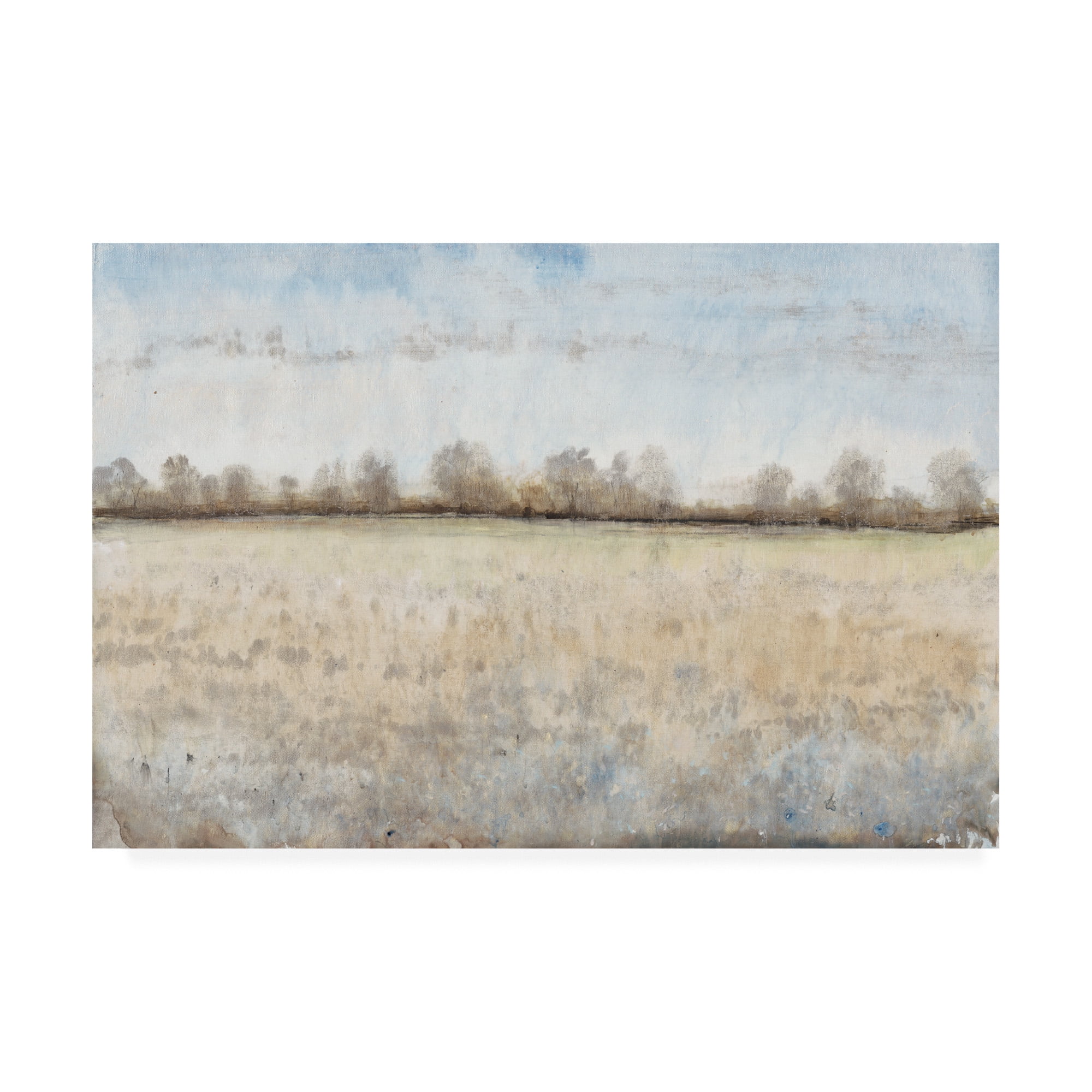 Trademark Fine Art 'Grazing Land I' Canvas Art by Tim OToole