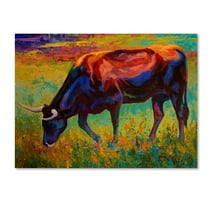 Trademark Fine Art 'Grazing Longhorn' Canvas Art by Marion Rose