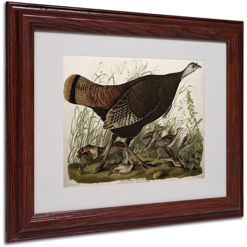 Trademark Fine Art 'Great American Hen and Young' 16" x 20" Wood Frame Art
