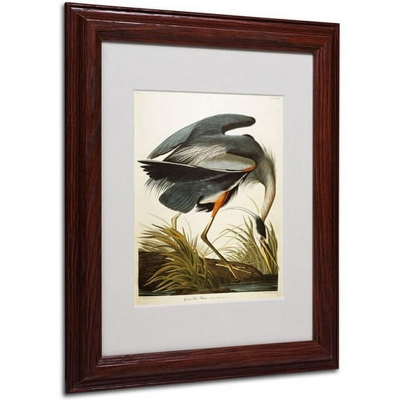 Trademark Fine Art "Great Blue Heron" Canvas Art by John James Audubon, Wood Frame
