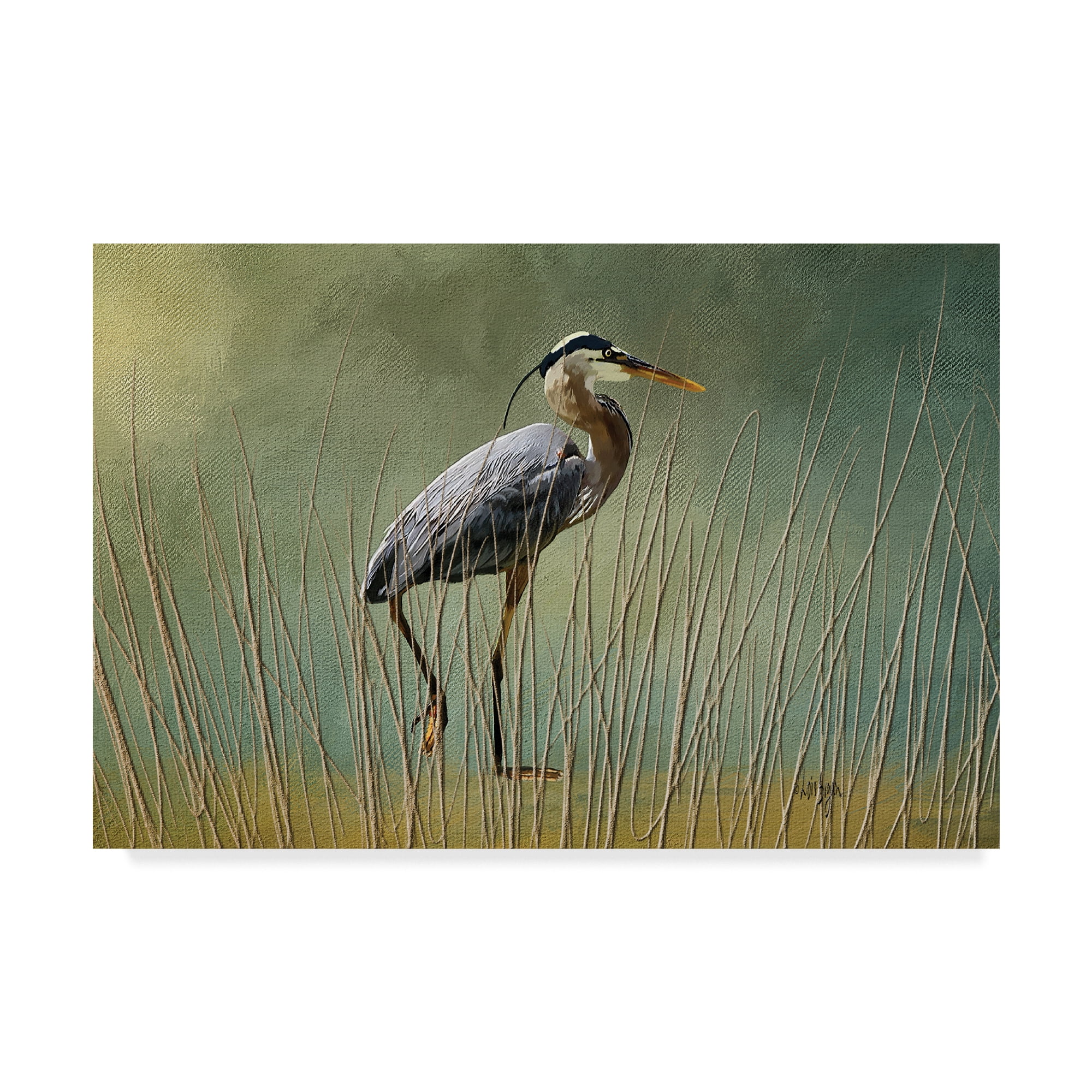 Trademark Fine Art 'Great Blue at the Beach' Canvas Art by Lois Bryan