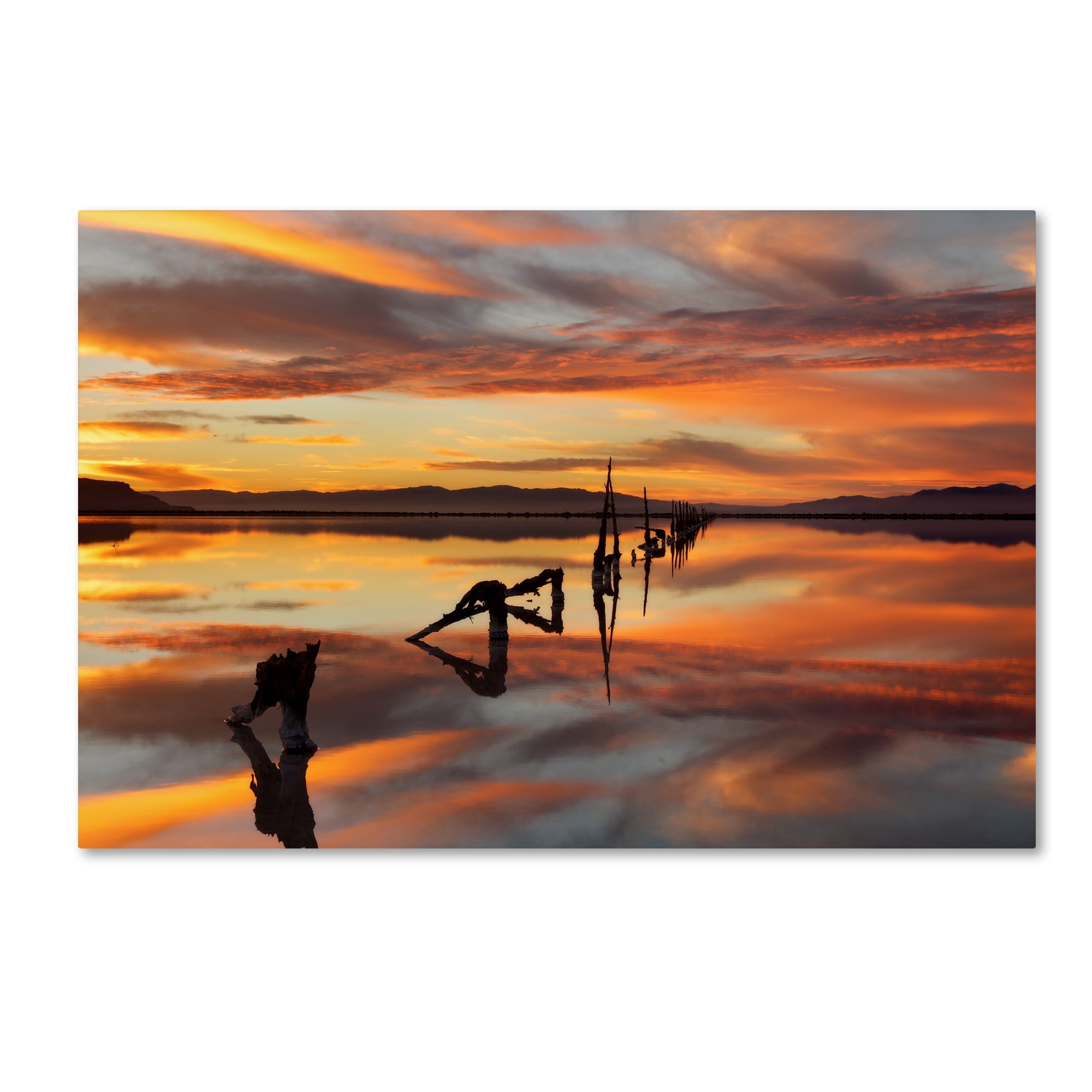 Trademark Fine Art 'Great Salt Lake Pilings Sunset' Canvas Art by Mike Jones Photo