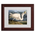 thumbnail image 1 of Trademark Fine Art "Great White Heron" Canvas Art by John James Audubon, Wood Frame, 1 of 3