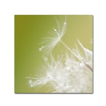 Trademark Fine Art 'Green' Canvas Art by Hilde Ghesquiere