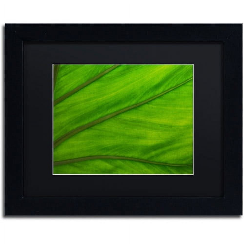 Trademark Fine Art "Green Elephant Ear Abstract" Canvas Art by Kurt Shaffer Black Matte, Black Frame