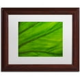 thumbnail image 1 of Trademark Fine Art "Green Elephant Ear Abstract" Canvas Art by Kurt Shaffer White Matte, Wood Frame, 1 of 4