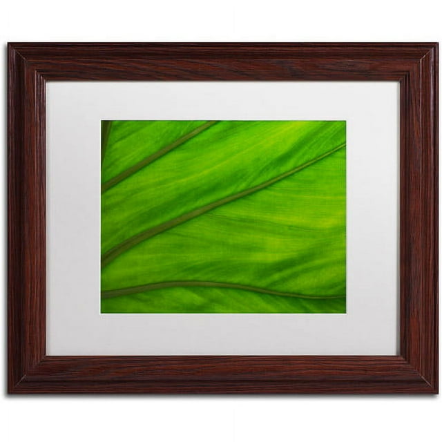 Trademark Fine Art "Green Elephant Ear Abstract" Canvas Art by Kurt Shaffer White Matte, Wood Frame