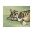 thumbnail image 1 of Trademark Fine Art 'Green Eyes' Canvas Art by Janet Pidoux, 1 of 3