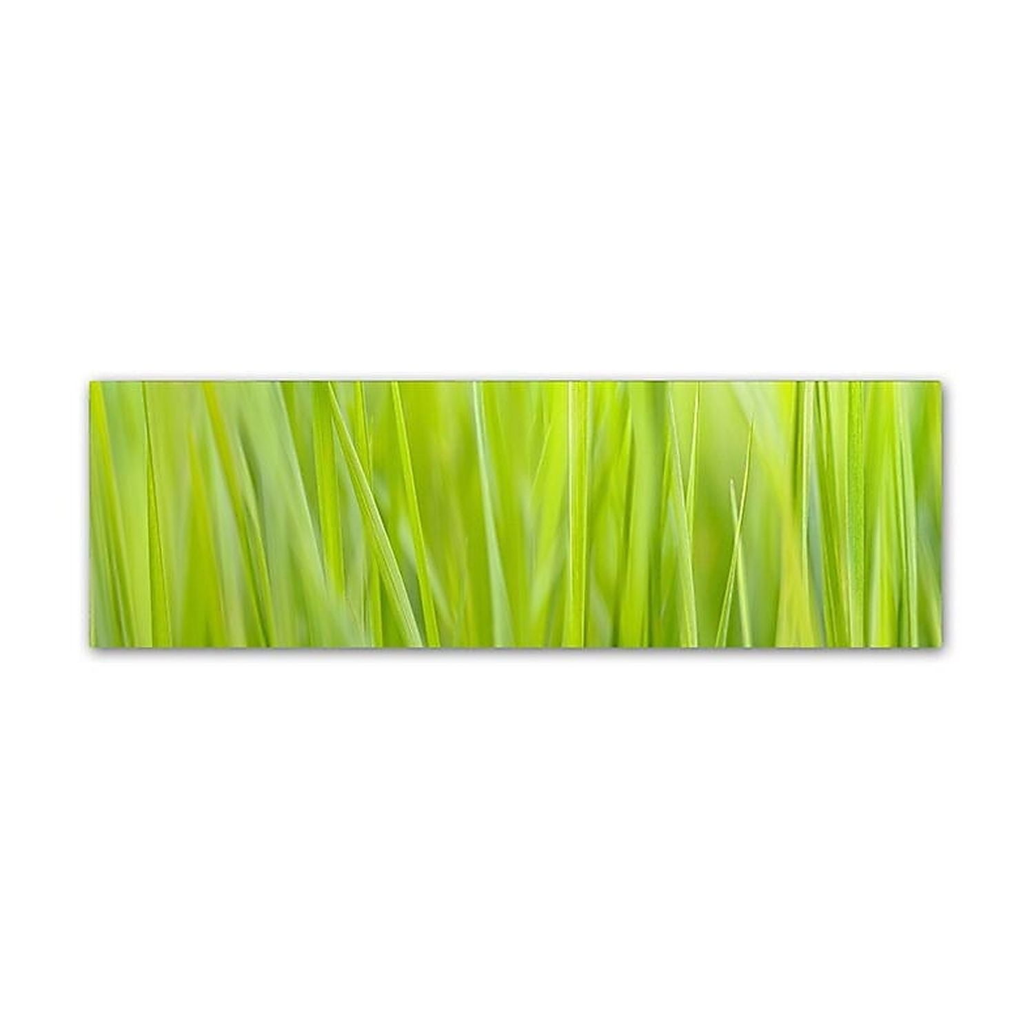 Green Grass Scape Framed Canvas Print, 15x20