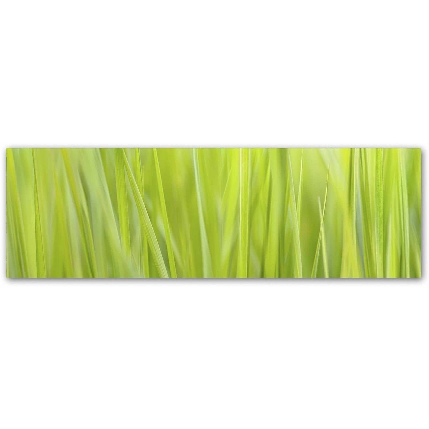 Green Grass Scape Framed Canvas Art 37" x 49"