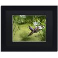 thumbnail image 1 of Trademark Fine Art "Green Heron" Canvas Art by Kurt Shaffer, Black Matte, Black Frame, 1 of 4