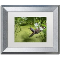 Trademark Fine Art "Green Heron" Canvas Art by Kurt Shaffer, White Matte, Silver Frame