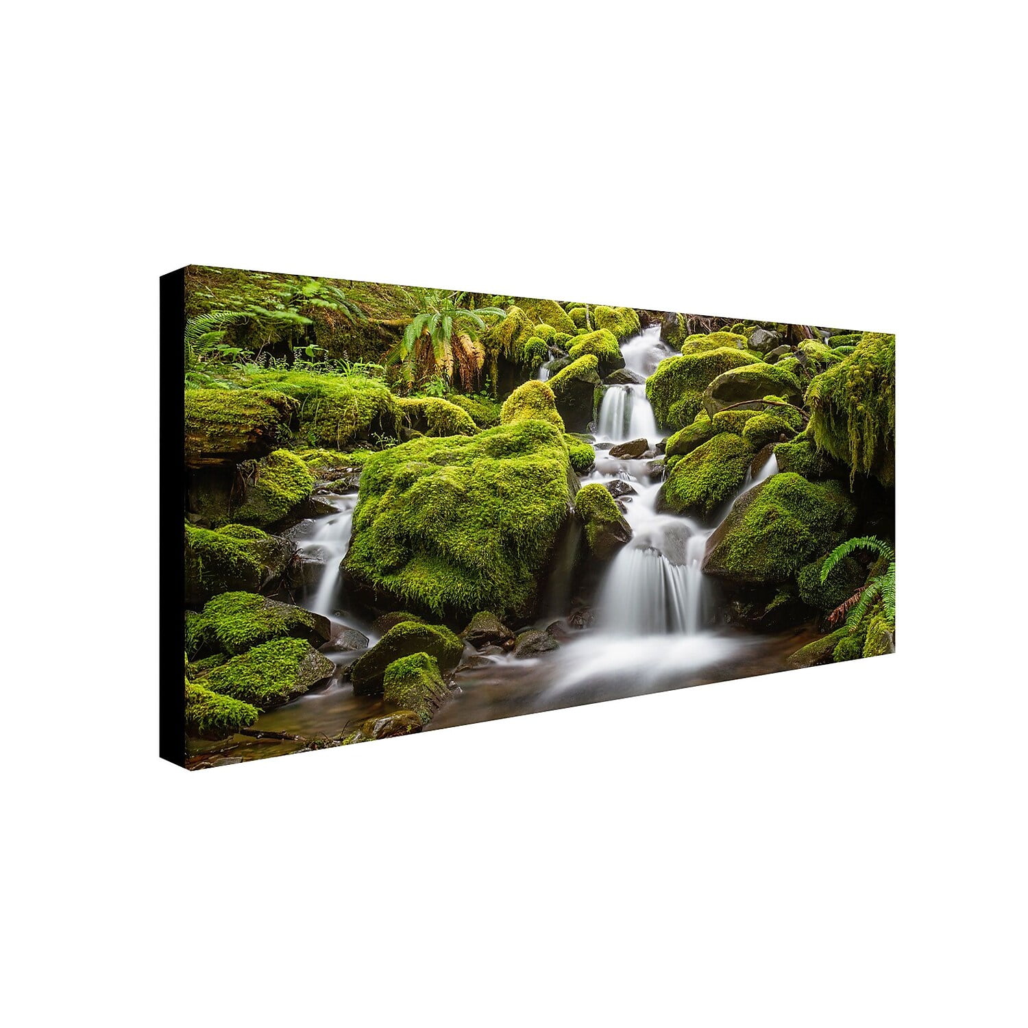 Trademark Fine Art "Green Moss Stream" Canvas Art by Pierre Leclerc
