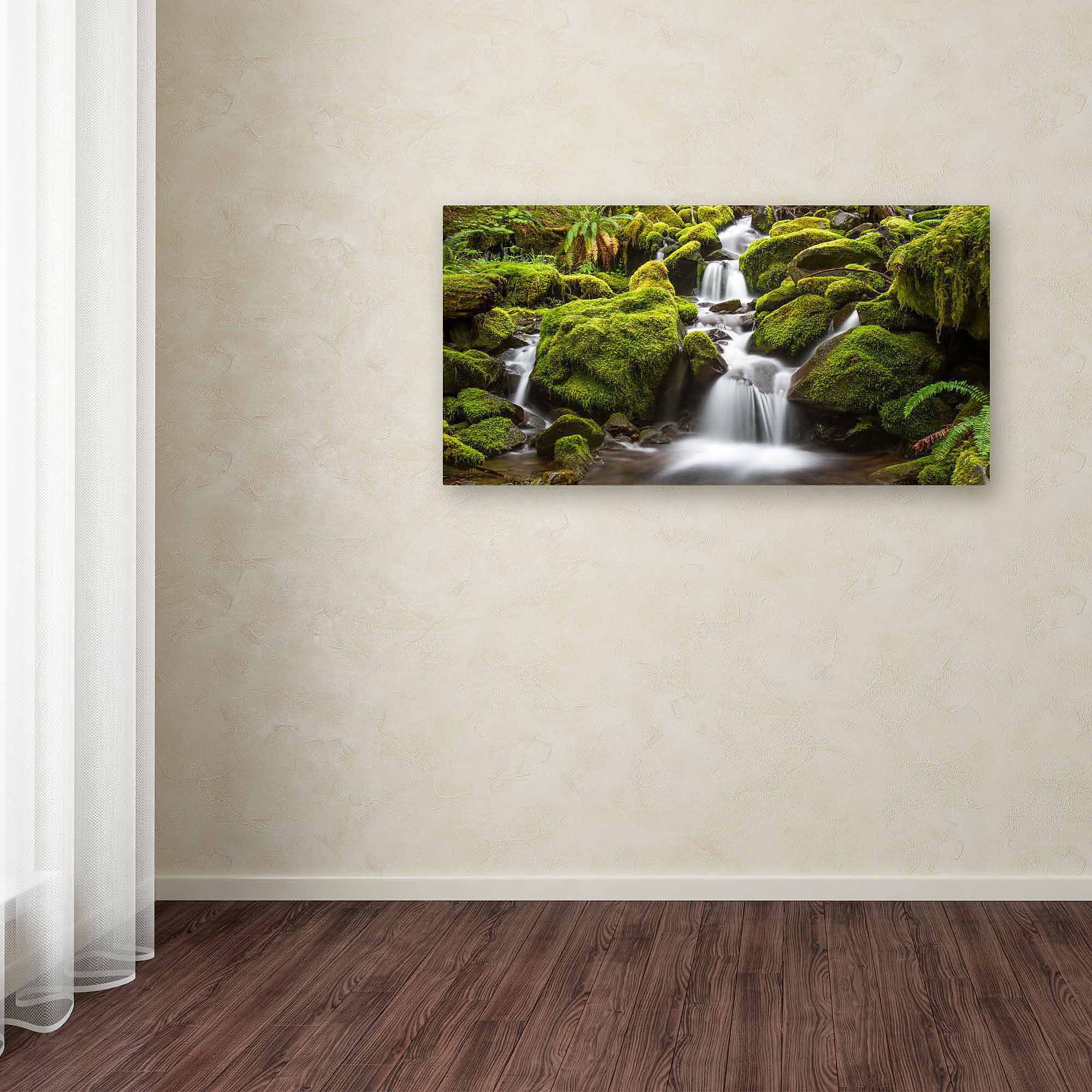 Trademark Fine Art "Green Moss Stream" Canvas Art by Pierre Leclerc