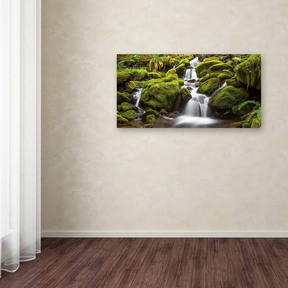 Trademark Fine Art "Green Moss Stream" Canvas Art by Pierre Leclerc