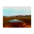 thumbnail image 1 of Trademark Fine Art 'Green Ponds I' Canvas Art by Danielle Harrington, 1 of 4