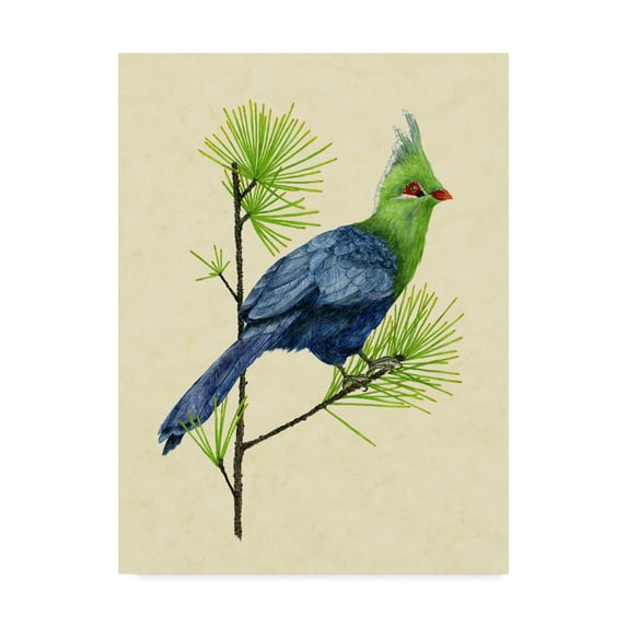 Trademark Fine Art 'Green Turaco I' Canvas Art by Melissa Wang