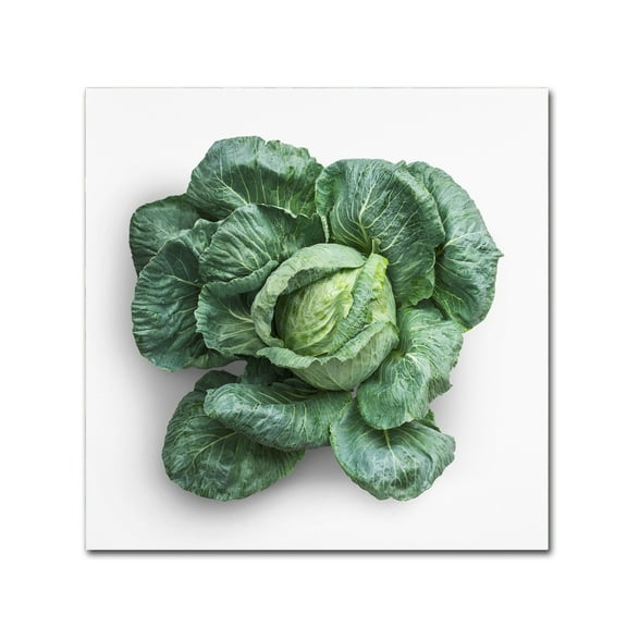 Trademark Fine Art 'Green Vegetable' Canvas Art by Johanna