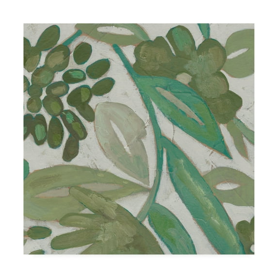 Trademark Fine Art 'Greenery IV' Canvas Art by Chariklia Zarris