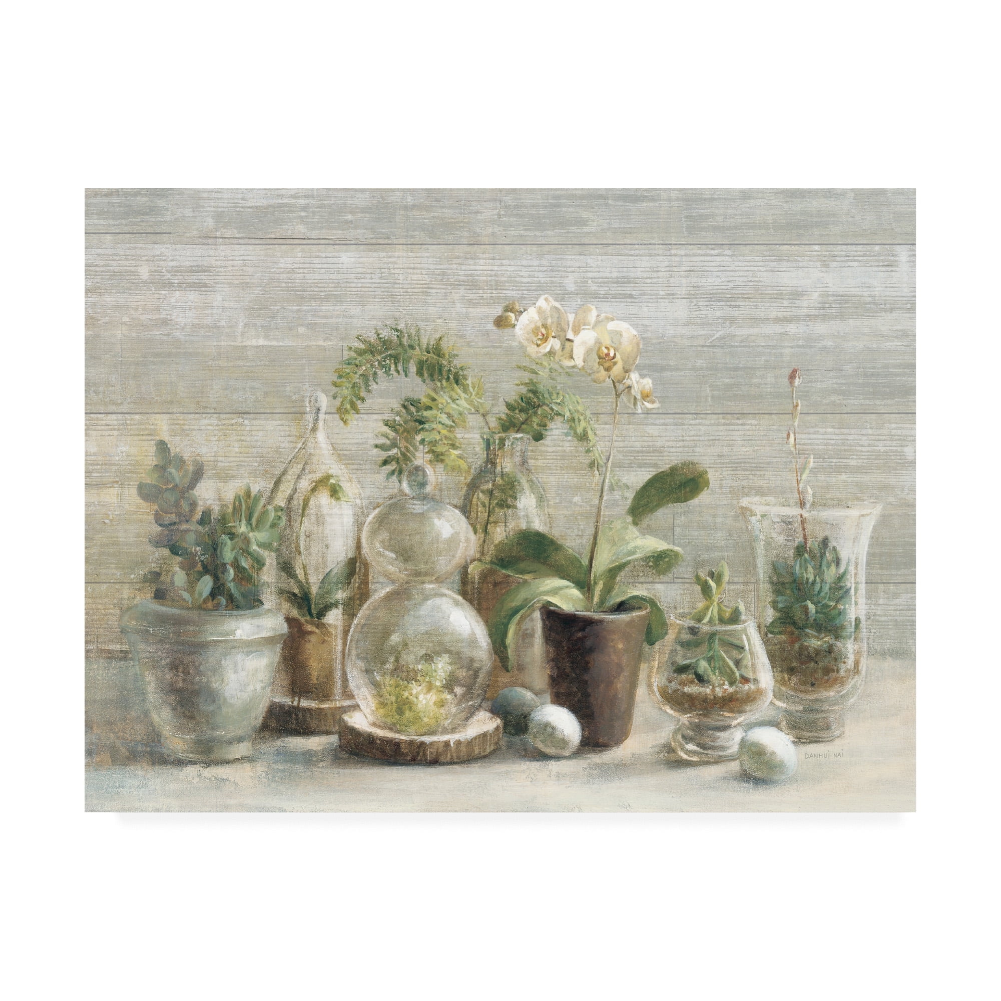 Trademark Fine Art 'Greenhouse Orchids on Wood' Canvas Art by Danhui Nai