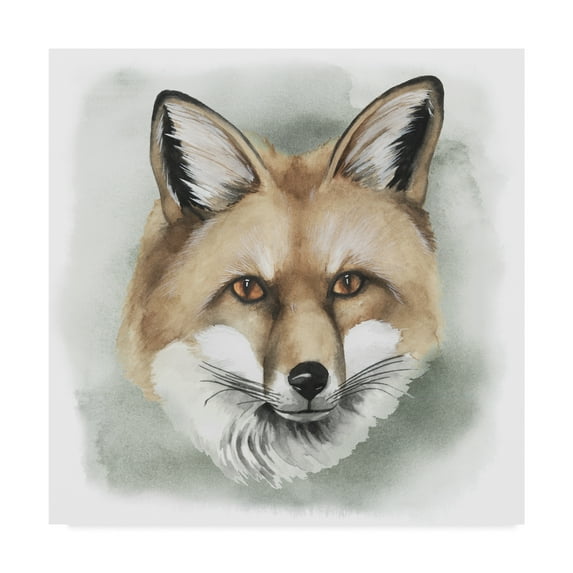 Trademark Fine Art 'Greenwood Animals I' Canvas Art by Grace Popp