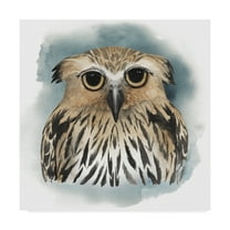 Trademark Fine Art 'Greenwood Animals II' Canvas Art by Grace Popp