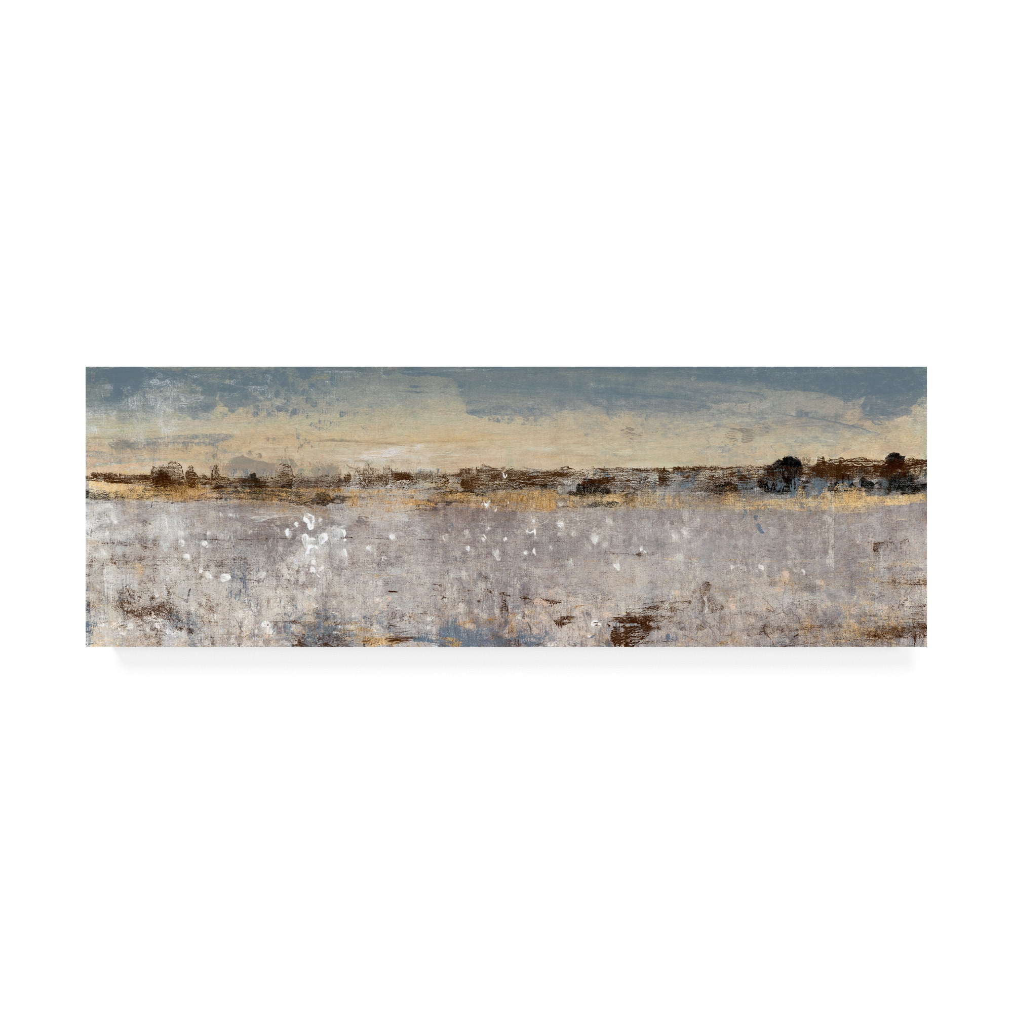 Trademark Fine Art 'Grey Atmosphere I' Canvas Art by Tim OToole