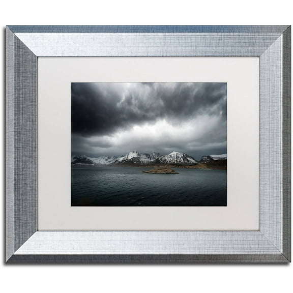Trademark Fine Art "Grey" Canvas Art by Philippe Sainte-Laudy, White Matte, Silver Frame