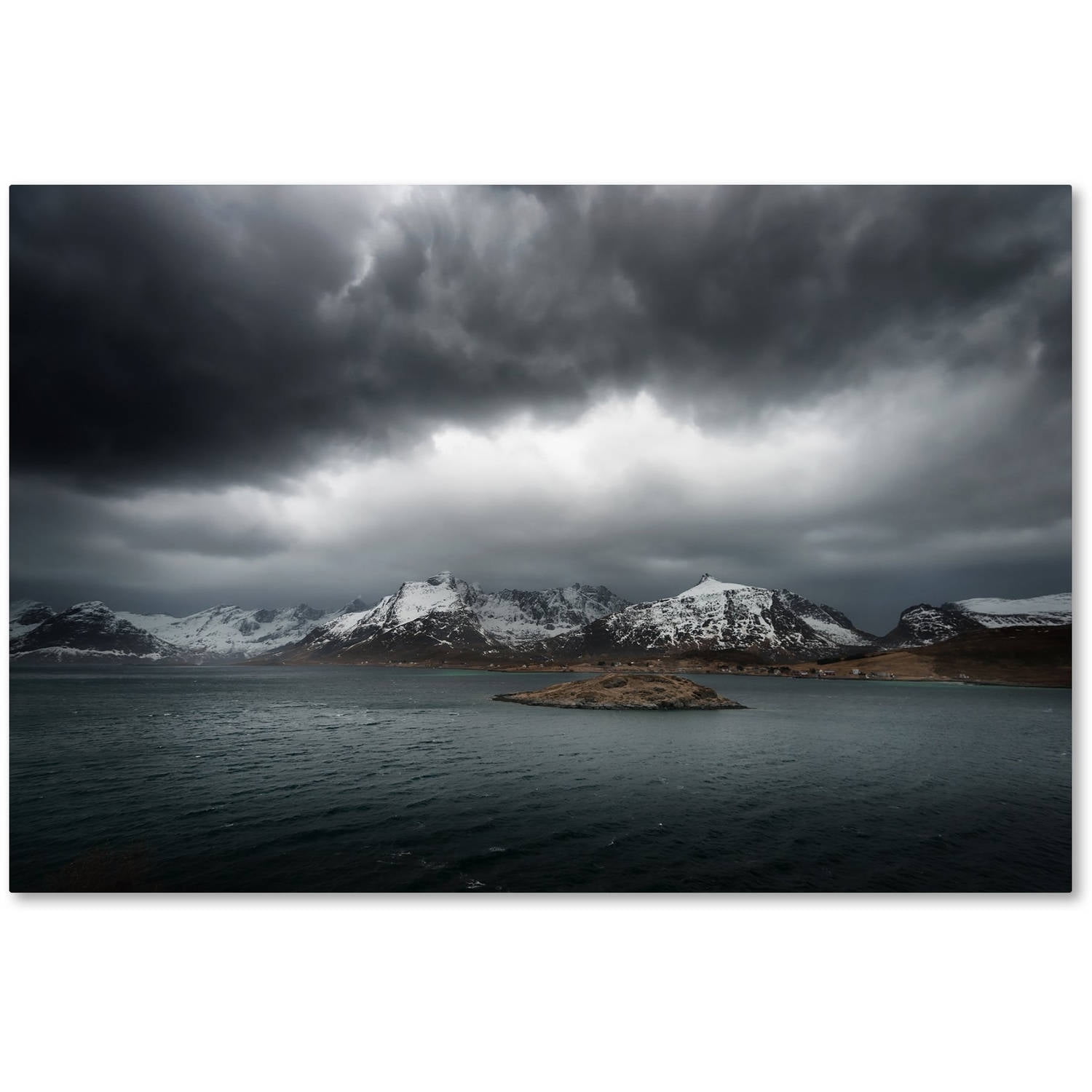 Trademark Fine Art "Grey" Canvas Art by Philippe Sainte-Laudy