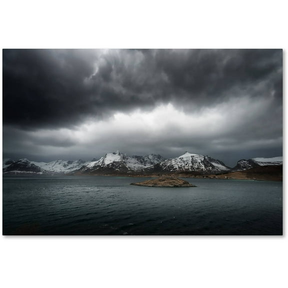 Trademark Fine Art "Grey" Canvas Art by Philippe Sainte-Laudy